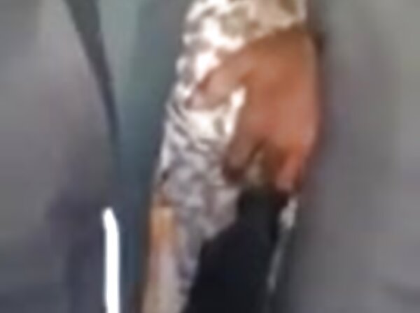 Weasel و همسر گربه عكس كوس وكير بیدمشک